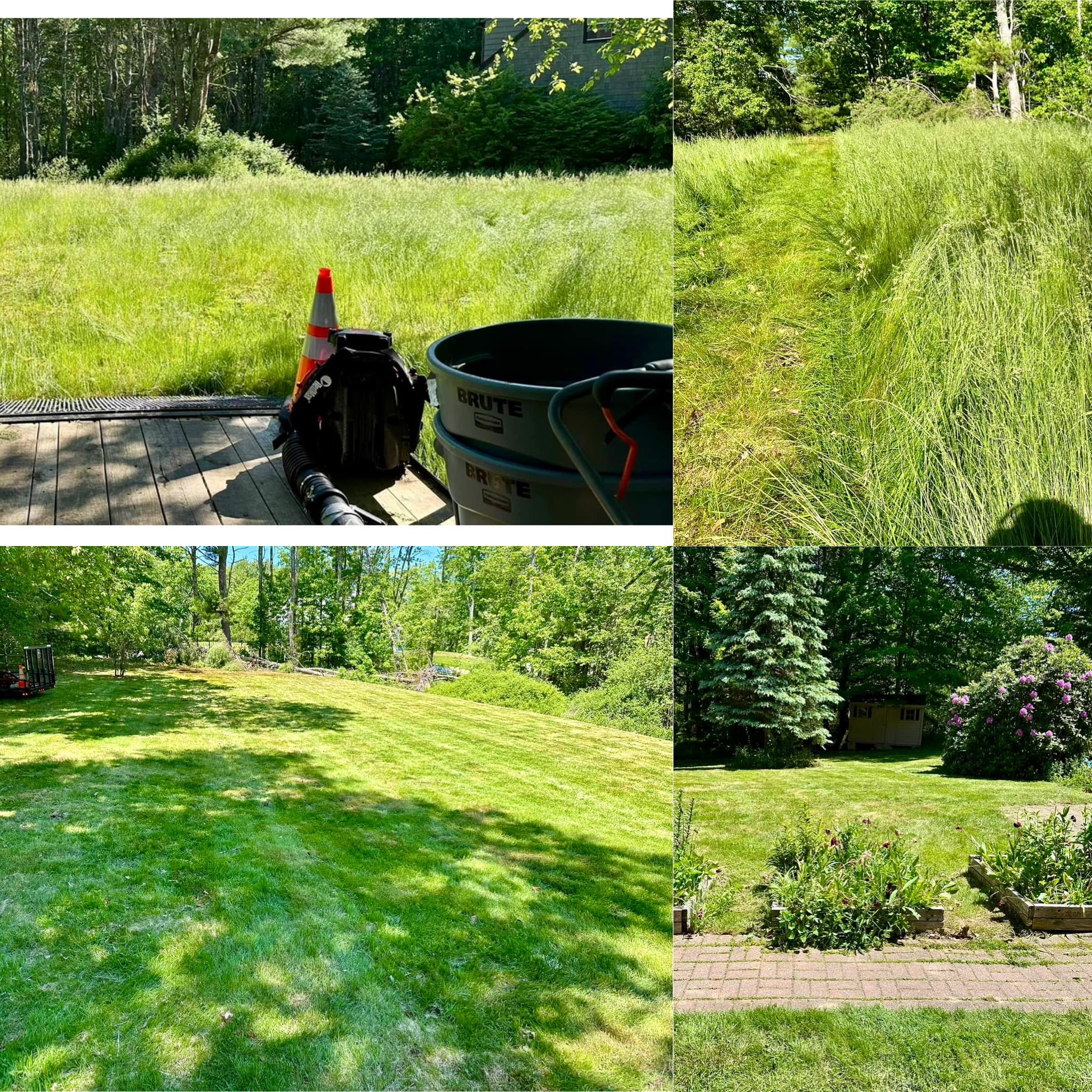 Lawn care work example 1