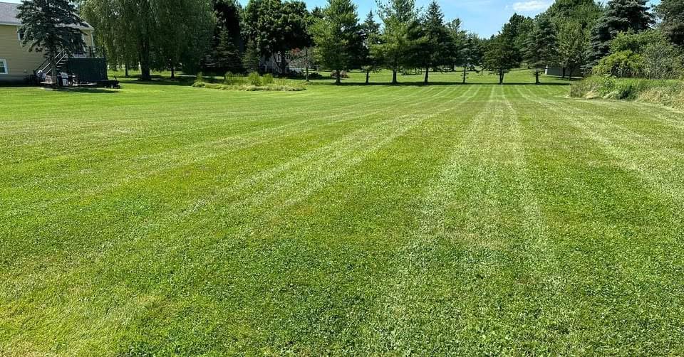 Lawn care work example 2
